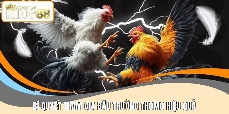 Bí quyết tham gia đấu trường Thomo hiệu quả