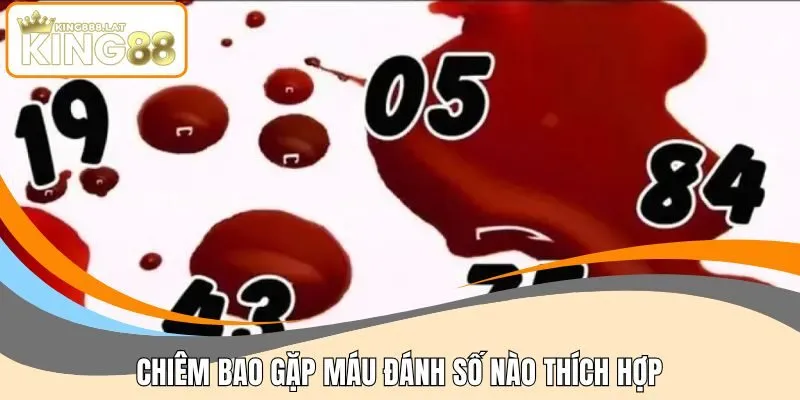 Chiêm bao gặp máu đánh số nào thích hợp
